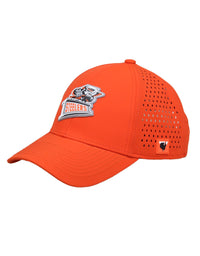 Steelers Authentic Orange Cap