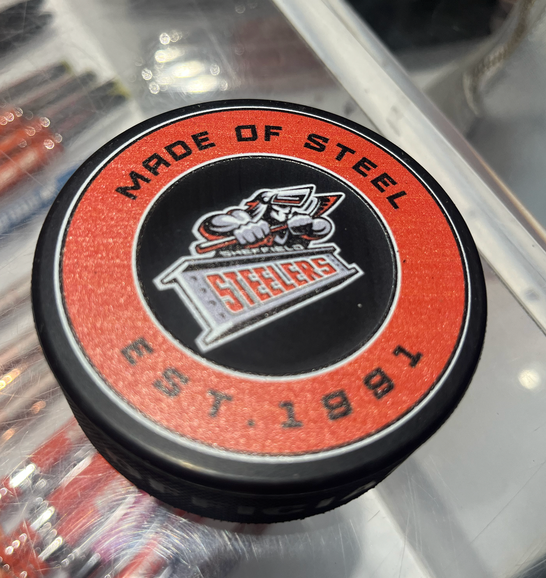 Steelers 2023-24 Official Puck