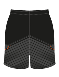 Steelers Adult Team Shorts
