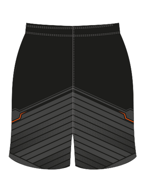 Steelers Adult Team Shorts